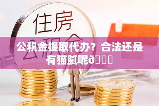 南安公积金提取代办？合法还是有猫腻呢😏